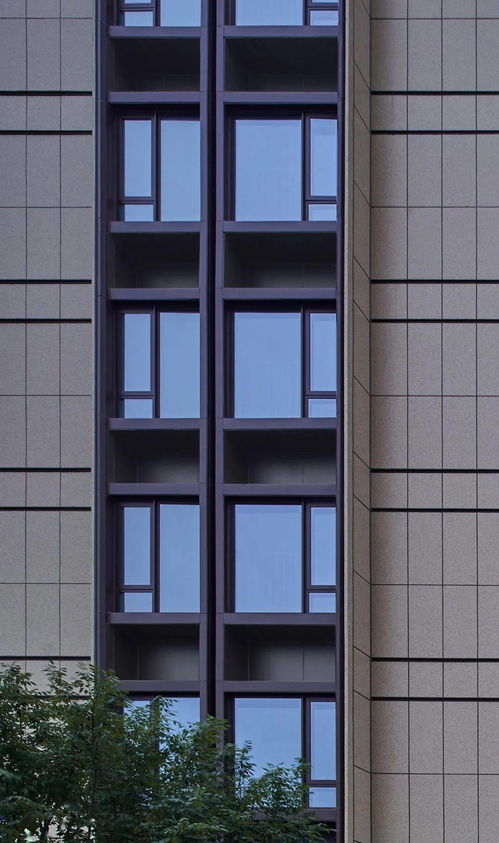 老城社區(qū)煥新記 寧波金地華章府